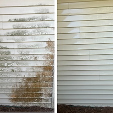Low-Pressure-Vinyl-Siding-Cleaning-in-Pensacola-FL 2